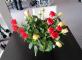 Art Floral Résidence Cigma Laval